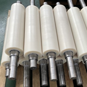 Nylon Roller with Bearing