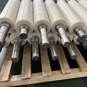 Nylon Roller with Bearing